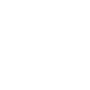 Libelle Schriftzug Weiß
